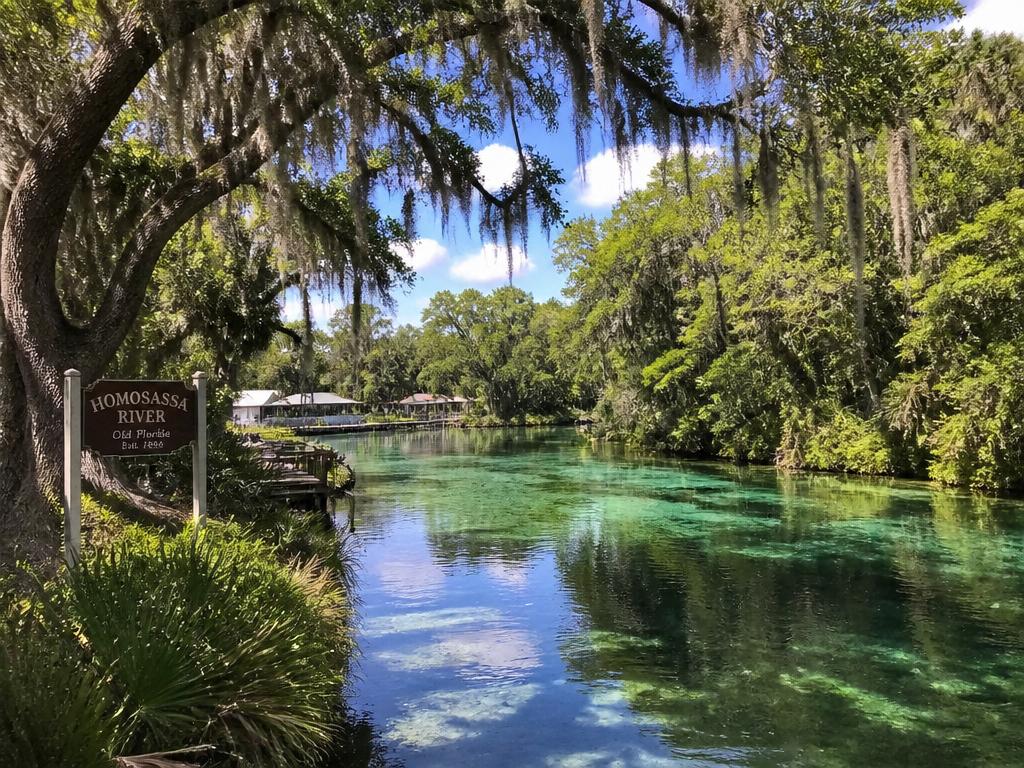Homosassa