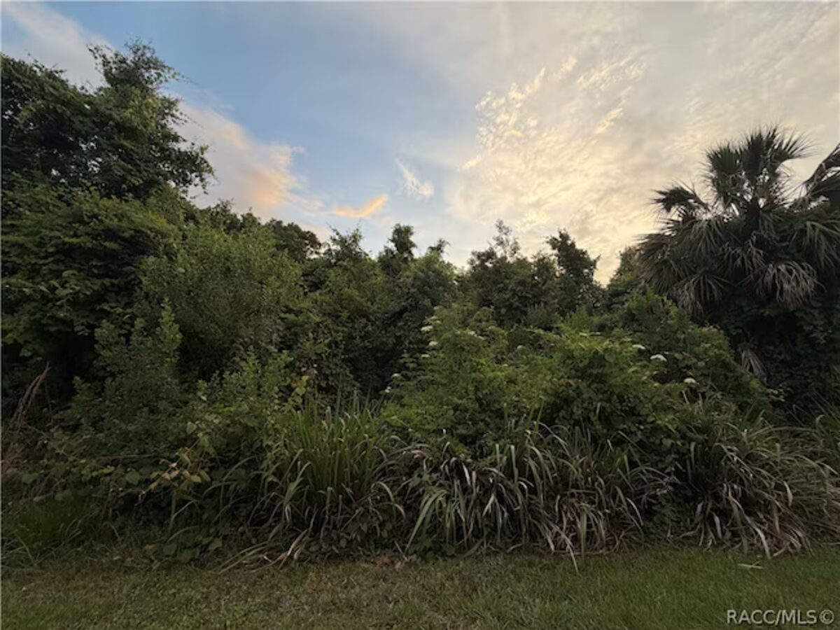 1062 N Fan Palm Point, Crystal River