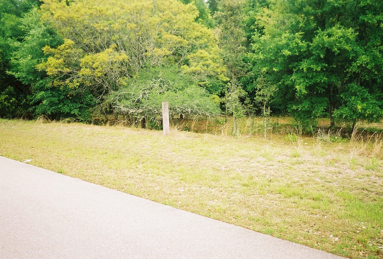 Citrus Springs 3