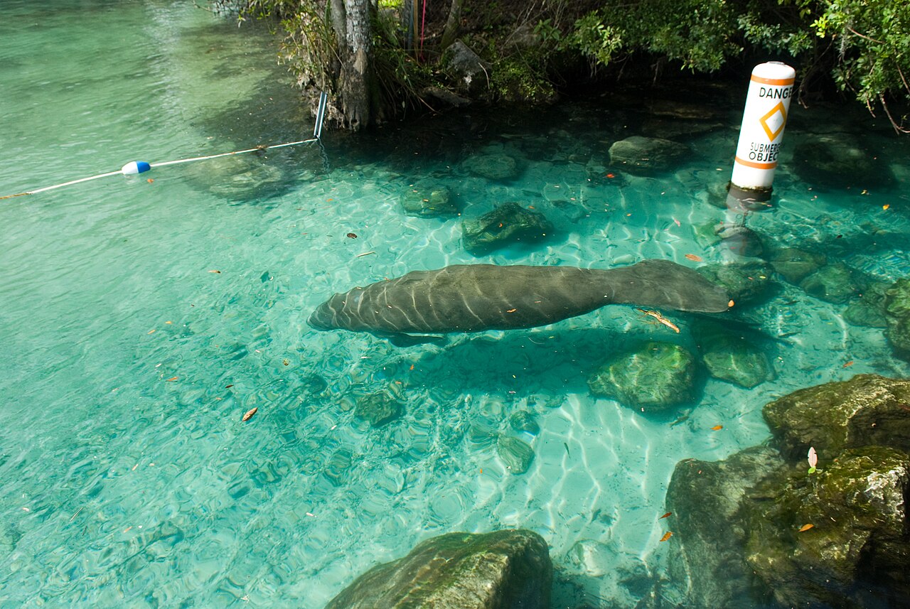 Crystal River 3