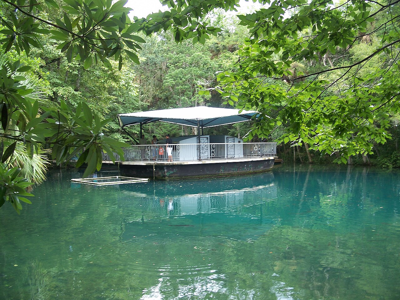Homosassa 2